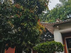 -东山风动石景区