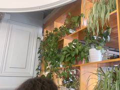 -窄巷子陕菜馆·地道陕西菜(粉巷店)