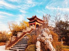 -武汉园博园(武汉自然博物馆)