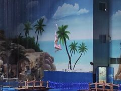 -华夏文旅海洋公园