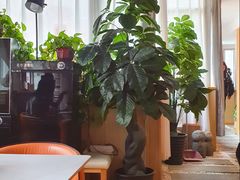 -云柏居青年旅舍(西关十字店)