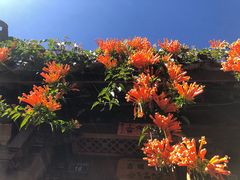 -嘉华鲜花饼(四方街旗舰店)