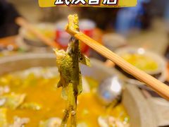 -石锅苗苗鱼(武汉首店)
