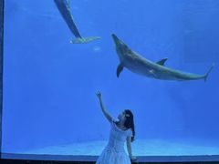 -海合安成都极地海洋公园
