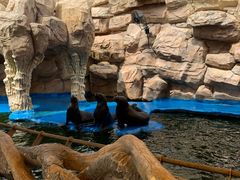 -华夏文旅海洋公园