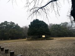 -灵谷景区