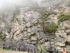 -青峰峡国家森林公园