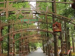 -东平国家森林公园