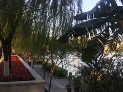 -大润发(王庄店)