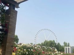 -石家庄市植物园