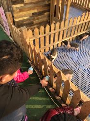 -萌宠亲子动物乐园(槐房万达店)