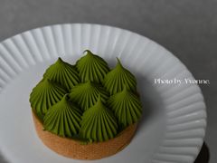 -猫里有甜