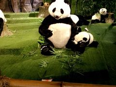 -成都泰迪熊博物馆