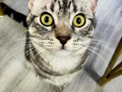 -国生茶庄·地道农家菜团建活动