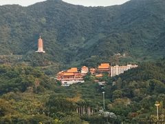 -深圳仙湖植物园