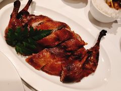 -圆苑(金茂店)