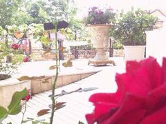 iphone_upload_pic-莫奈花园餐厅(麦迪逊花园店)