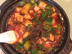 -陈麻婆豆腐总店