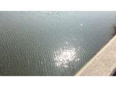 -咸宁万豪温泉谷度假区