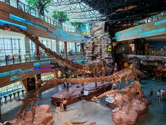 -安徽省地质博物馆