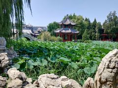 -莲池书院博物馆