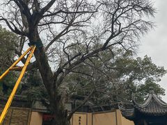 -惠山古镇·寄畅园