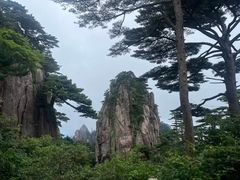 -黄山风景区