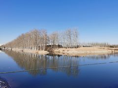 -马家湾湿地公园