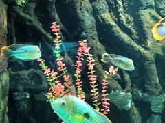 -苏州海洋馆