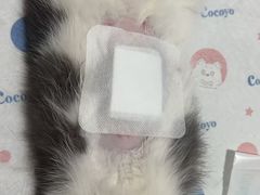 -灵美宠物诊所