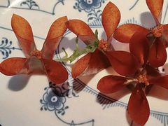 -玖五京菜(杭州城北万象城店)