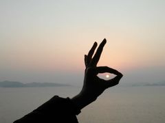 -舟山希尔顿酒店