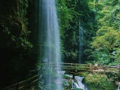 -碧峰峡风景区