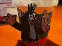 -布拉格餐厅· 中欧捷克菜(全国首店)