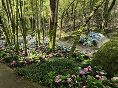 -石燕湖生态旅游景区