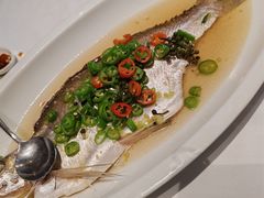 -尚一汤·粤菜海鲜(汇智国际商业中心店)