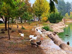 -中家鑫园温泉酒店鑫悦汤泉