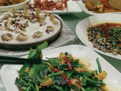 -华盛丰温州大排档(东三环南路店)