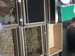 -叶子与茶(苏宁广场店)