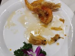 -新侨小馆(东直门北小街店)