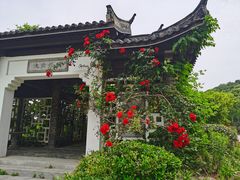 -龙寺生态园