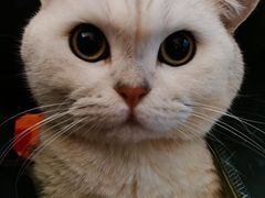 -7cake憩刻生日蛋糕·下午茶(西安店)