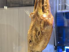 -陆记鹅庄·潮汕菜·狮头鹅(大仟里店)