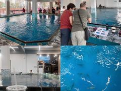 -SHRIMP CLUB万东餐饮钓虾·清吧