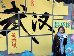 -湖北中医药大学(昙华林校区)