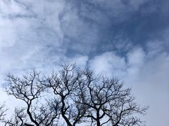 -萍乡武功山风景名胜区