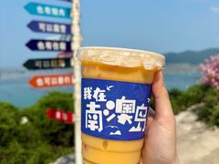 -南澳岛打卡果汁冰公司