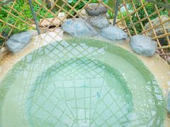 -星河温泉小镇