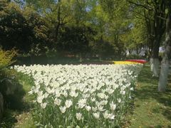 -上海鲜花港