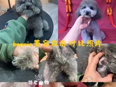 -悠尼宠物·独立低压伊珊娜洗护·美容·寄养(兰谷路店)
